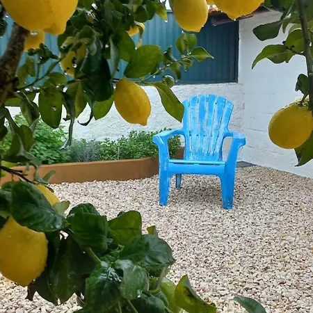 Διαμέρισμα Quinta Do Ti Vasco Pedrogao Grande