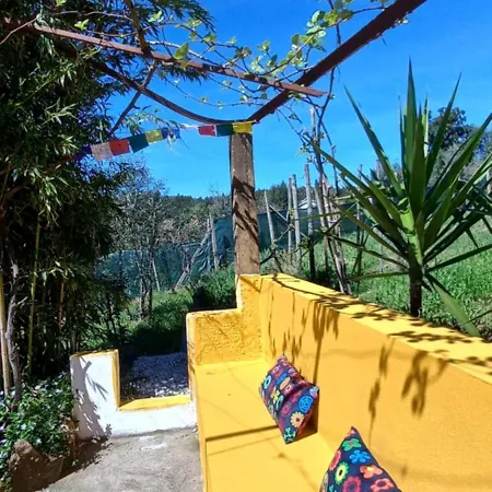 Quinta Do Ti Vasco 公寓 *