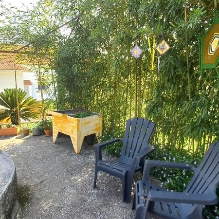 Quinta Do Ti Vasco 大佩德罗冈