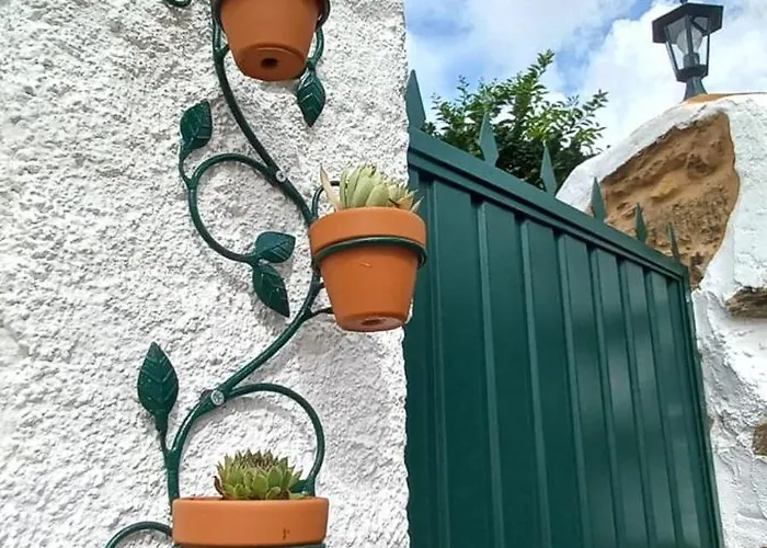 Quinta Do Ti Vasco ペドローガン・グランデ