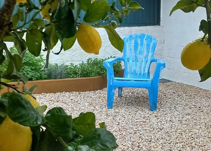 Apartamento Quinta Do Ti Vasco Pedrogao Grande