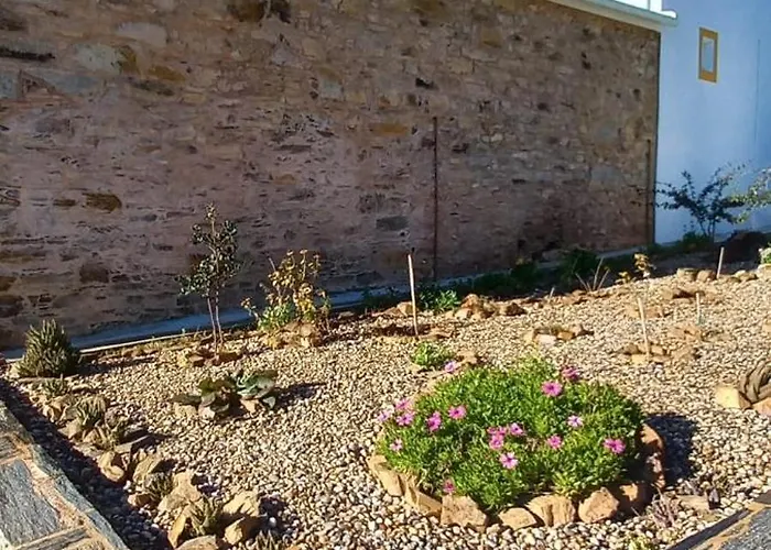 Quinta Do Ti Vasco * ペドローガン・グランデ